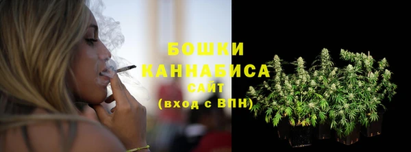 метадон Горняк
