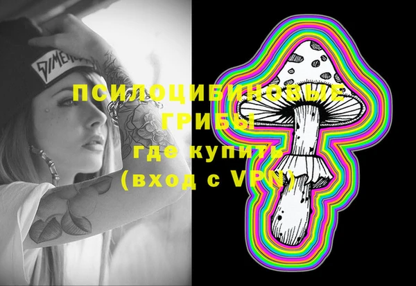 метадон Горняк