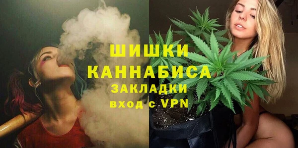 МДПВ Горнозаводск