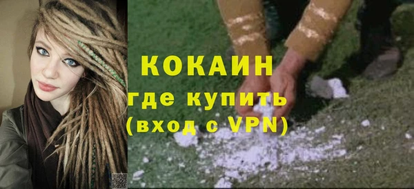 прущие грибы Вяземский