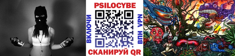 Псилоцибиновые грибы Cubensis Томск