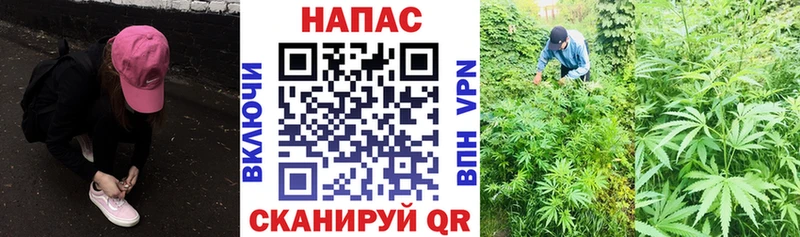 Марихуана планчик Томск